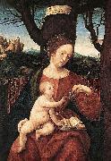 HERRERA, Francisco de, the Elder, Madonna with Grape